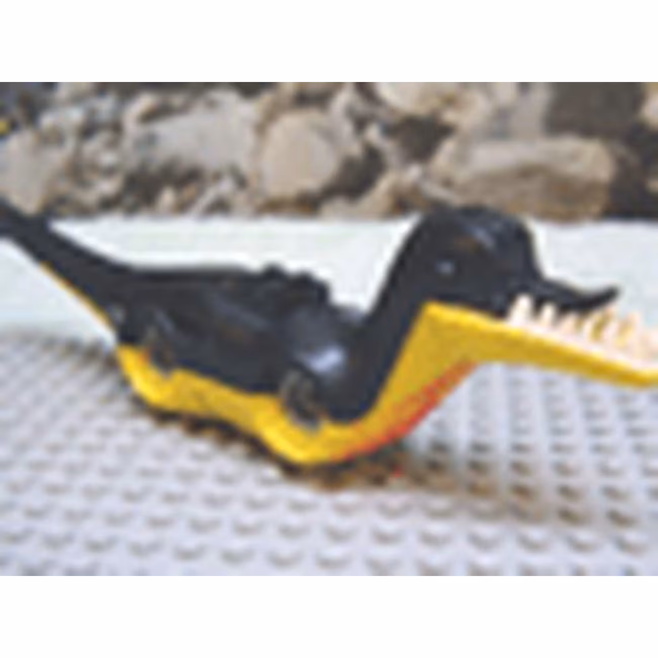 Dinosaur Body Pteranodon / Raptor with Black Top and Complementary Bottom Pattern Dinosaur Body Pteranodon / Raptor with Black Top and Complementary Bottom Pattern