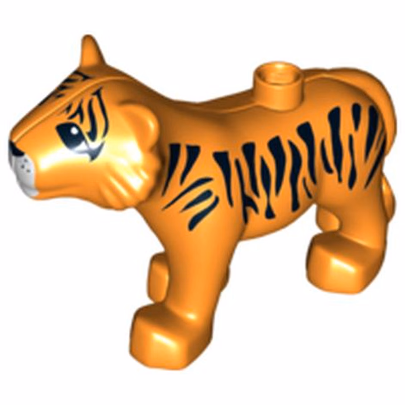 Duplo Tiger Adult with White Muzzle, Black Stripes, Nose and Eyes Almond Shaped Pattern Duplo Tiger Adult with White Muzzle, Black Stripes, Nose and Eyes Almond Shaped Pattern