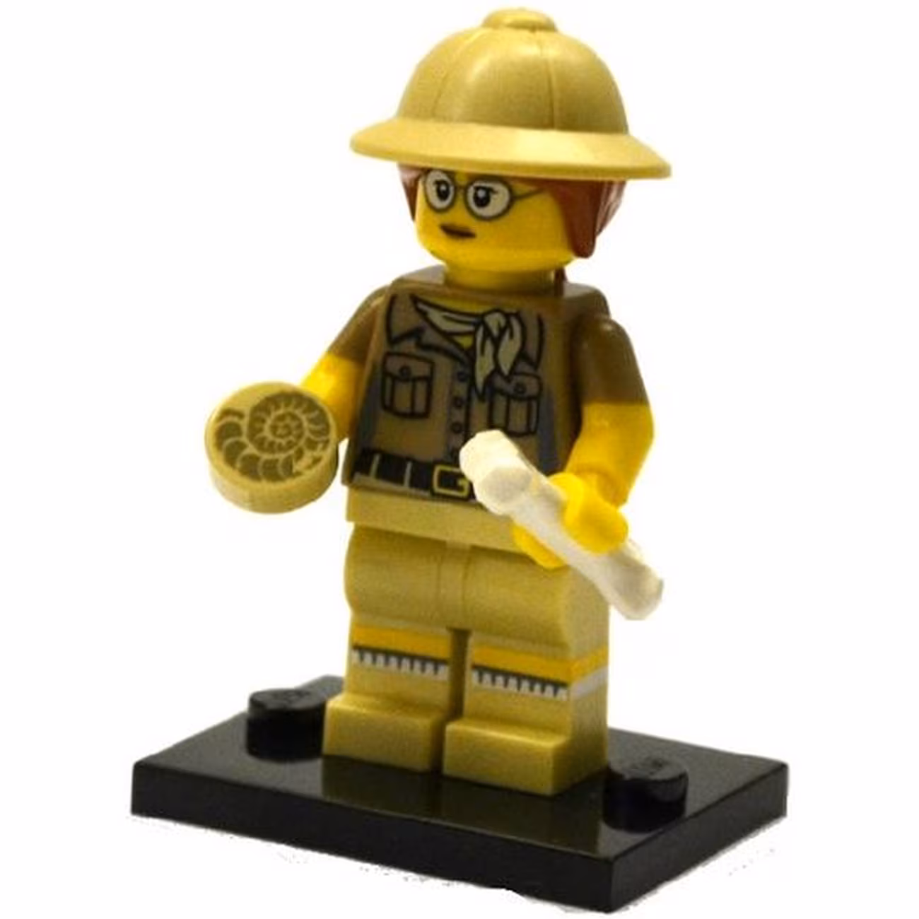 Paleontologist, Series 13 (Complete Set with Stand and Accessories) Paleontologist, Series 13 (Complete Set with Stand and Accessories)