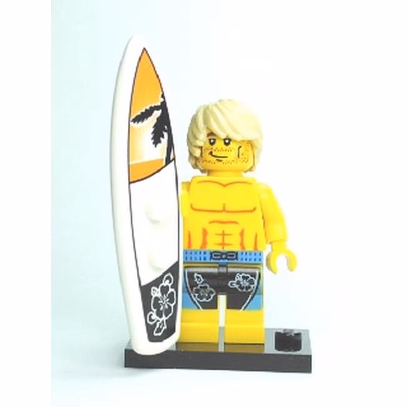 Surfer, Series 2 (Complete Set with Stand and Accessories) Surfer, Series 2 (Complete Set with Stand and Accessories)
