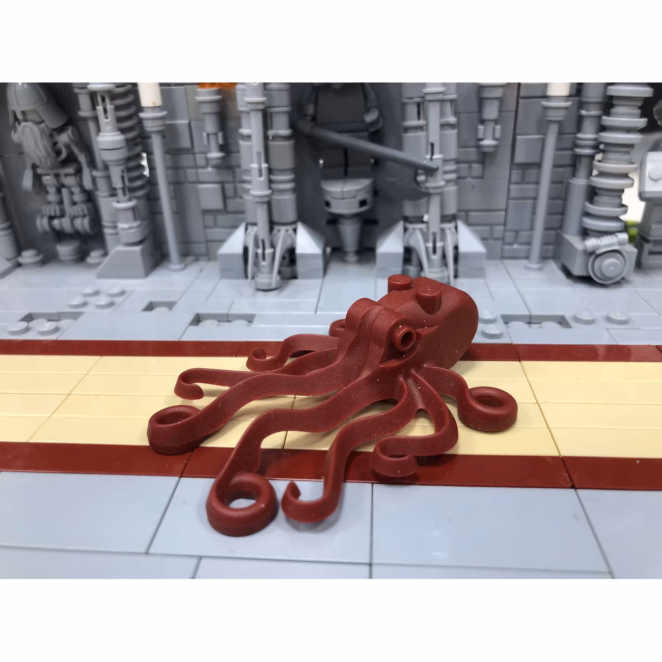 Octopus Octopus