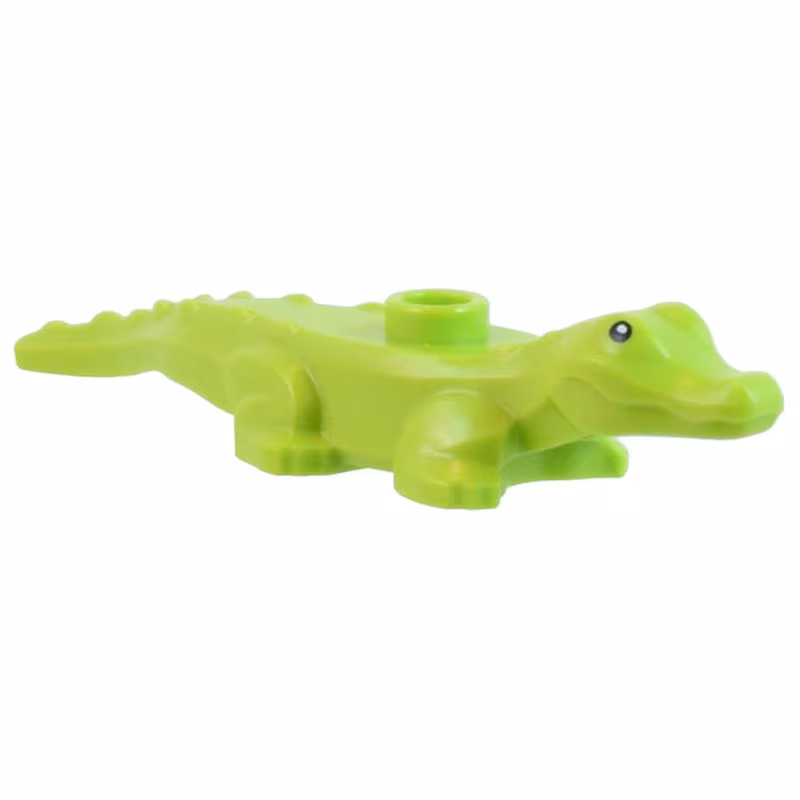 Alligator / Crocodile Baby Hatchling with Black Eyes and White Pupils Pattern Alligator / Crocodile Baby Hatchling with Black Eyes and White Pupils Pattern