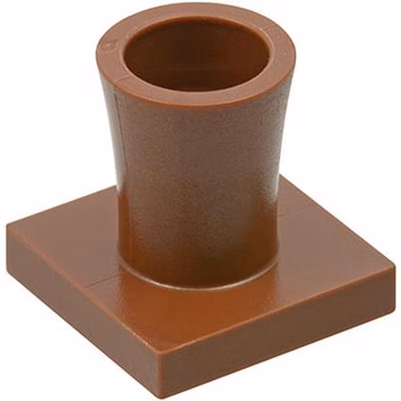 Plant, Tree Palm Base