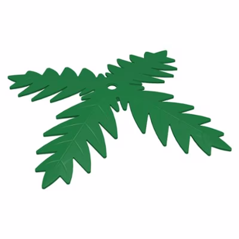 Plant, Tree Palm Leaf 4