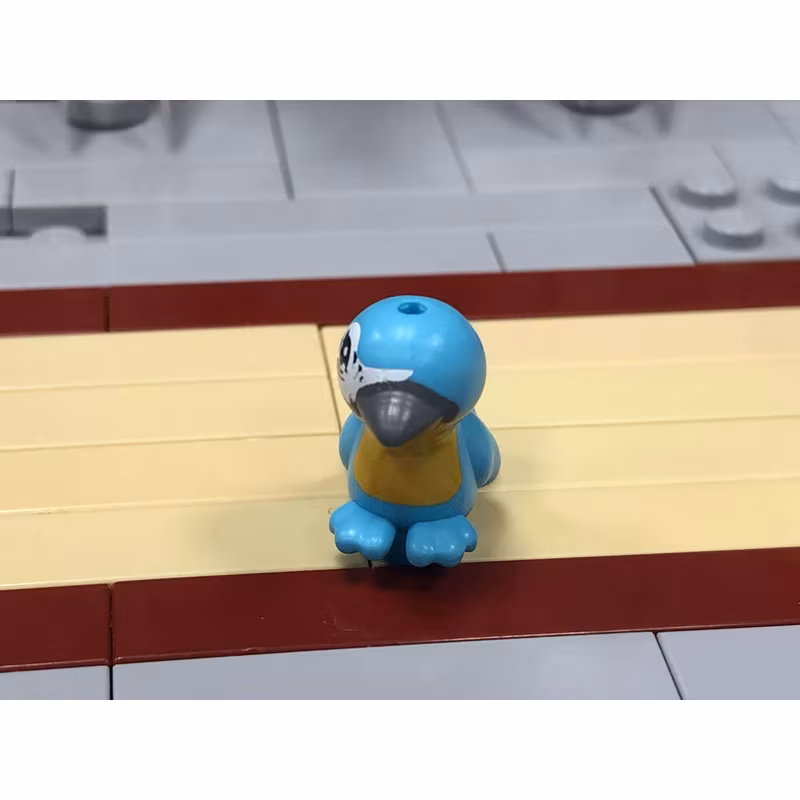 Bird, Friends / Elves with Bright Light Orange Chest, Black Eyes and Dark Bluish Gray Beak Pattern