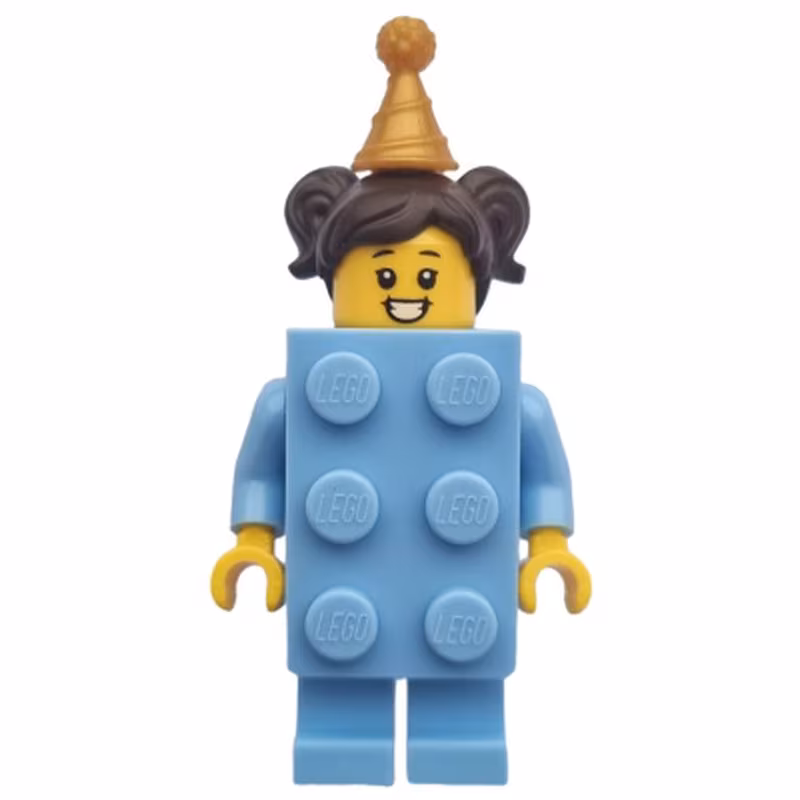 Birthday Brick Suit Girl