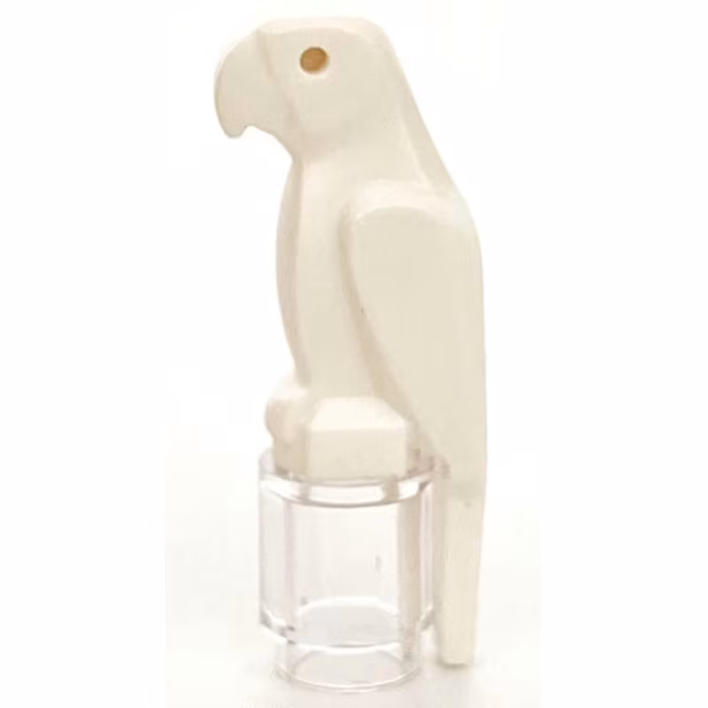 Bird, Parrot with Large Beak