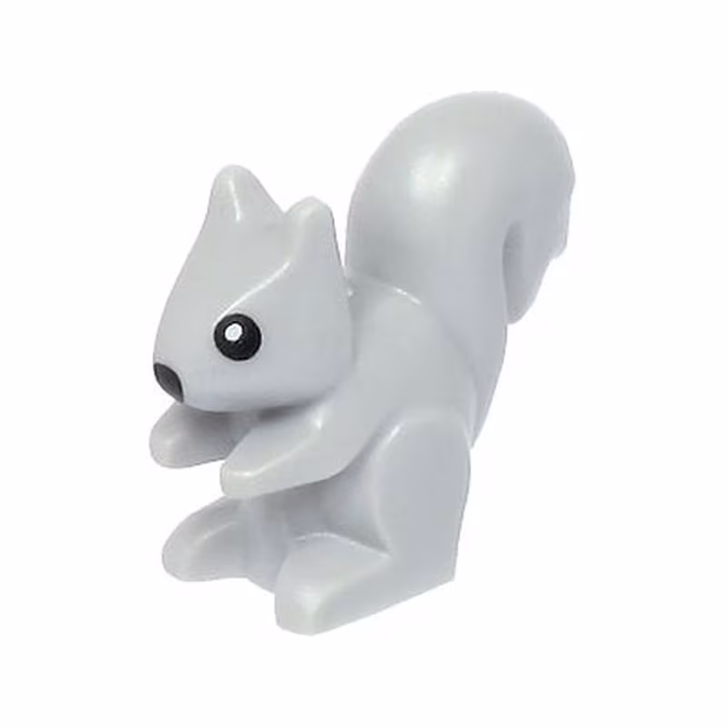 Squirrel with Black Nose and Eyes with White Pupils Pattern Squirrel with Black Nose and Eyes with White Pupils Pattern