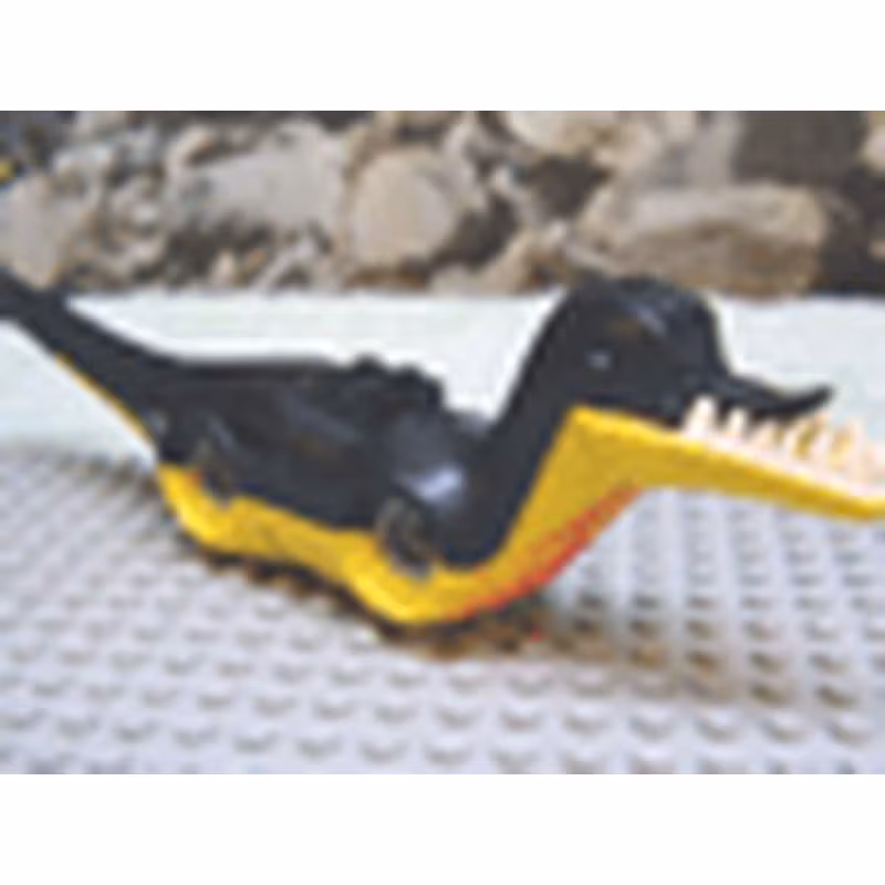 Dinosaur Body Pteranodon / Raptor with Black Top and Complementary Bottom Pattern