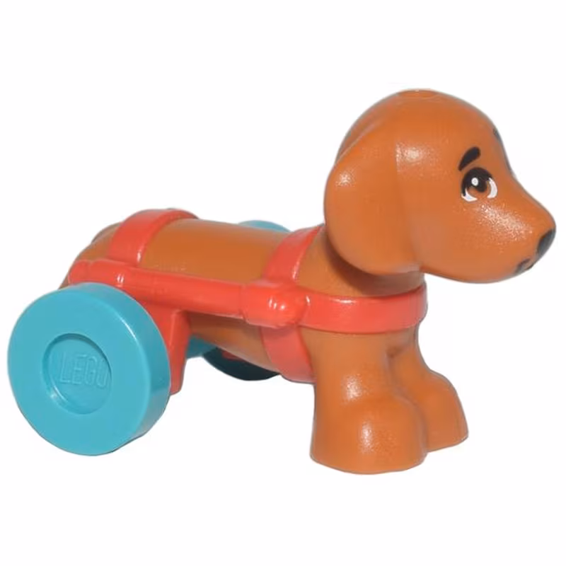 Dog, Friends, Dachshund with Red Wheelchair Harness with Dark Turquoise Wheels (Pickle)