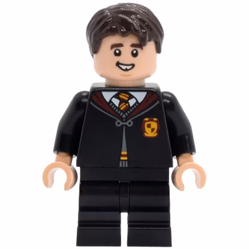 Neville Longbottom - Gryffindor Robe Clasped, Black Medium Legs