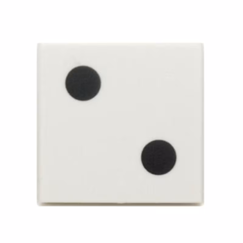 Tile 2 x 2 with 2 Black Dots Pattern Tile 2 x 2 with 2 Black Dots Pattern