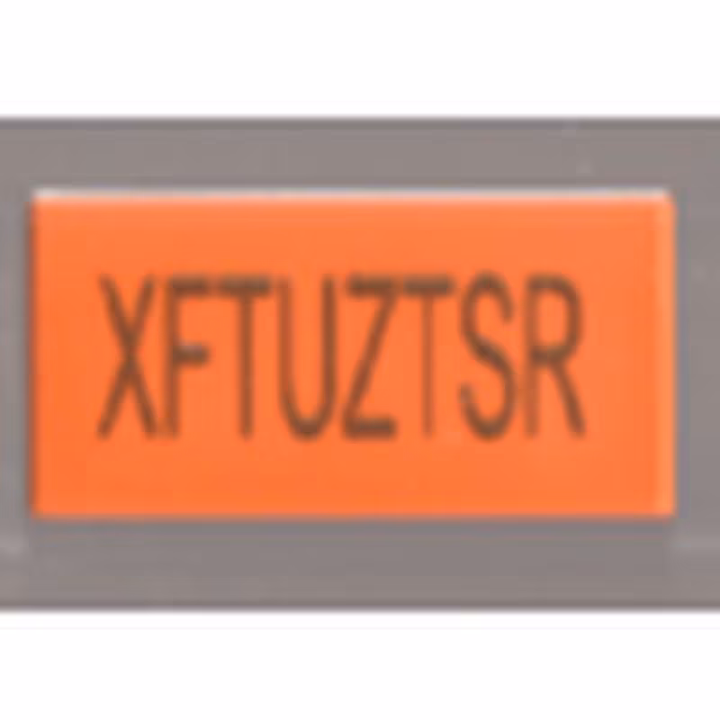 Tile 1 x 2 with 'XFxxxxxx' Exo-Code Pattern Tile 1 x 2 with 'XFxxxxxx' Exo-Code Pattern