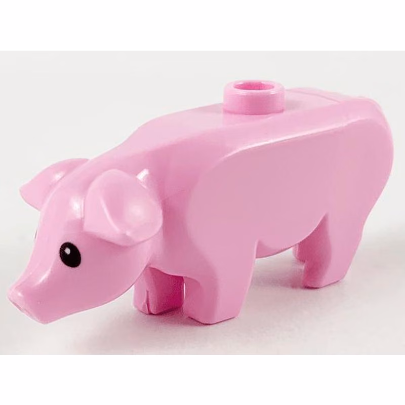 Pig with Black Eyes and White Pupils Pattern
