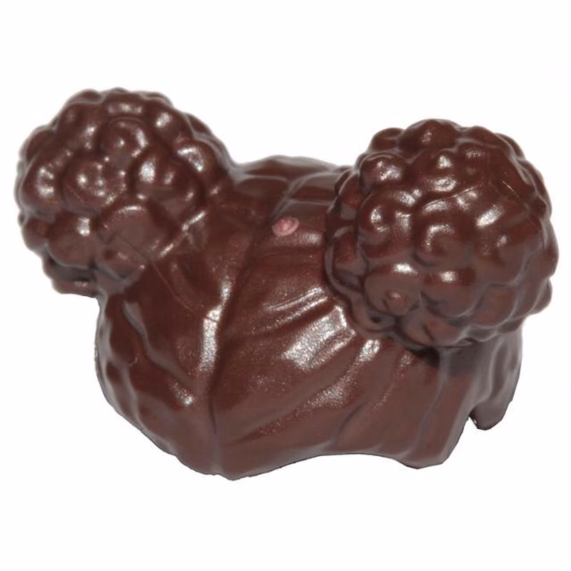 Minifigure, Hair Female, Parted in Middle with 2 Buns on Top