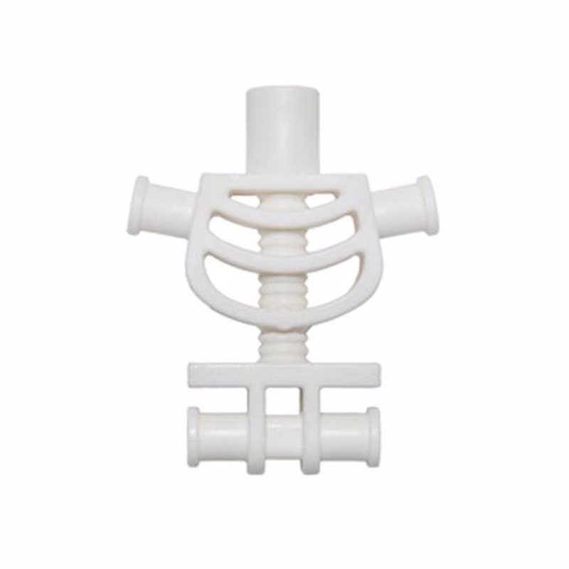 Torso Skeleton, Rounded Rib Cage and Thick Shoulder Pins