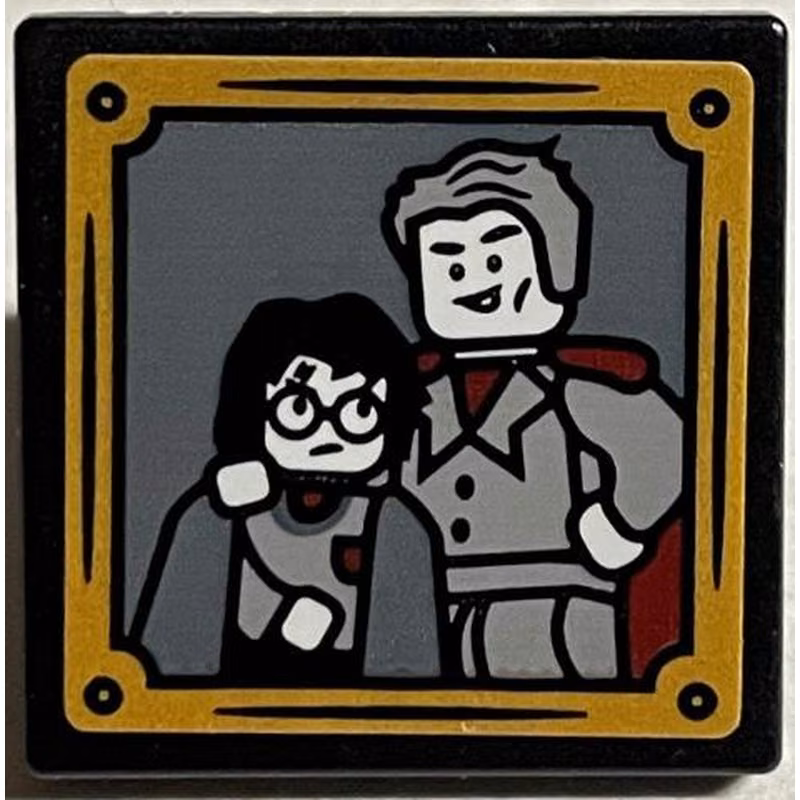 Road Sign 2 x 2 Square with Open O Clip with Gilderoy Lockhart Posing with Harry Potter and Gold Frame Pattern (Sticker) - Set 76389 Road Sign 2 x 2 Square with Open O Clip with Gilderoy Lockhart Posing with Harry Potter and Gold Frame Pattern (Sticker) - Set 76389